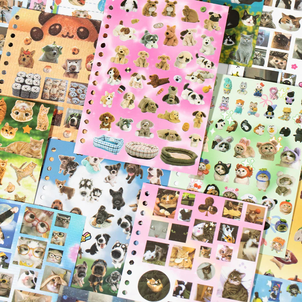 Cute Kitten Collection Sticker Book